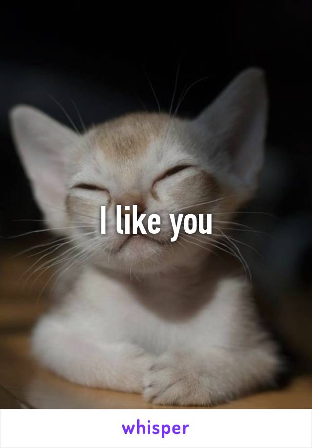 I like you