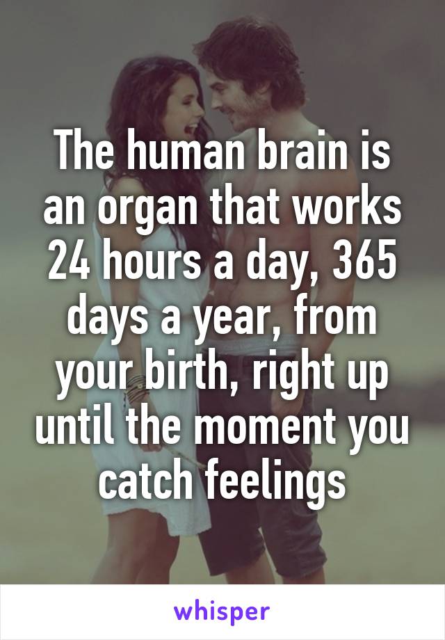 The human brain is an organ that works 24 hours a day, 365 days a year, from your birth, right up until the moment you catch feelings