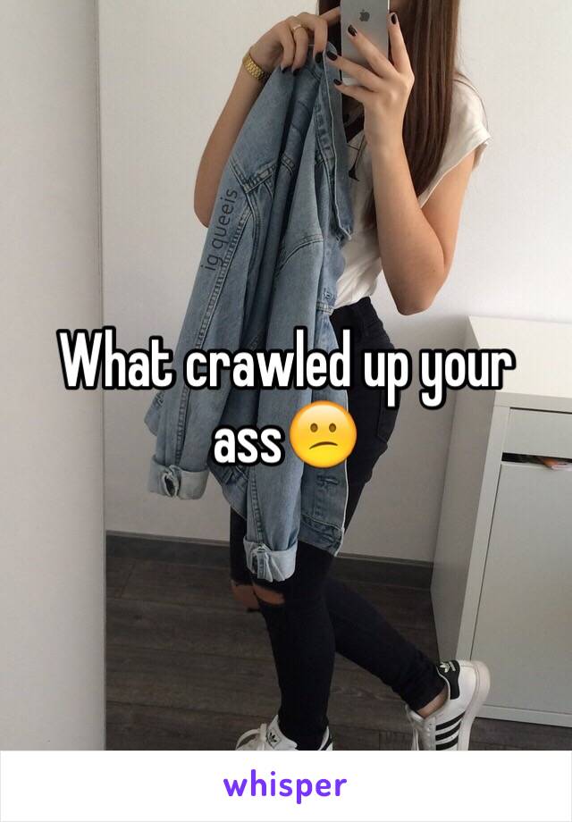 What crawled up your ass😕