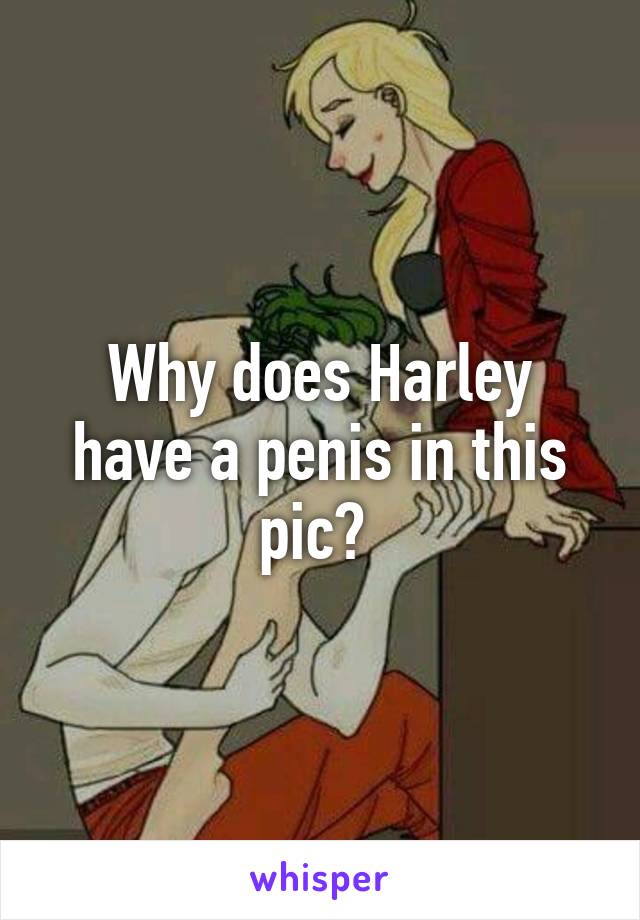 Why does Harley have a penis in this pic? 