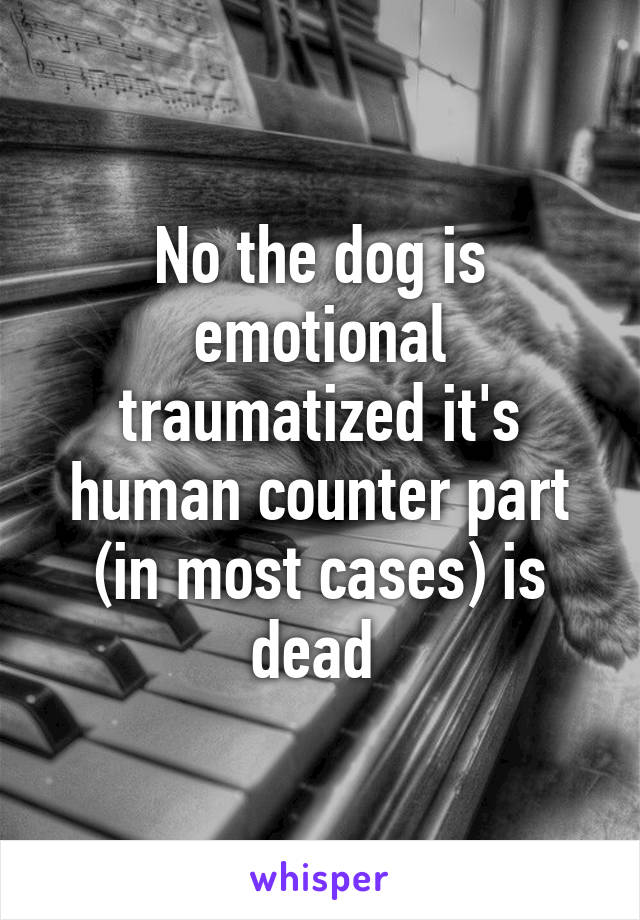No the dog is emotional traumatized it's human counter part (in most cases) is dead 