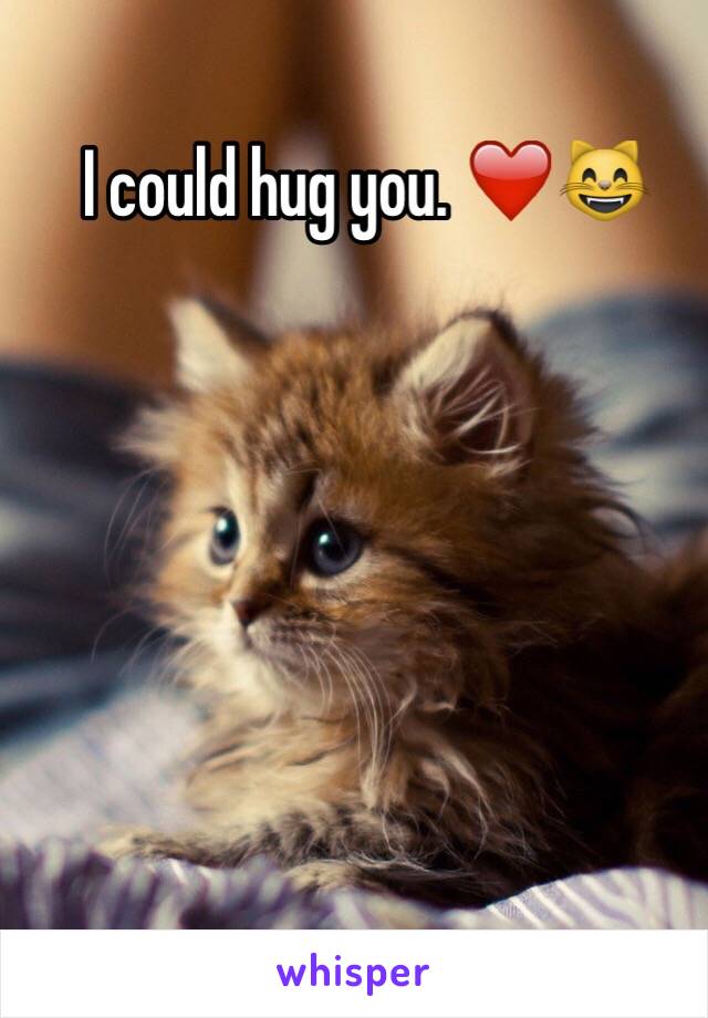 I could hug you. ❤️😸