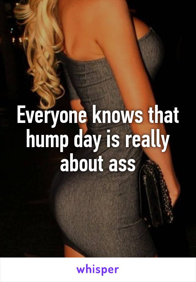 Everyone knows that hump day is really about ass