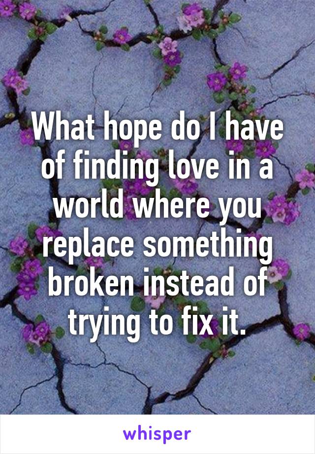 What hope do I have of finding love in a world where you replace something broken instead of trying to fix it.