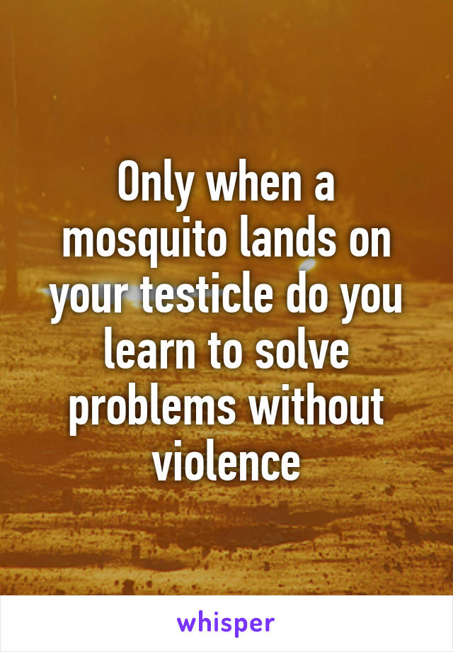 Only when a mosquito lands on your testicle do you learn to solve problems without violence