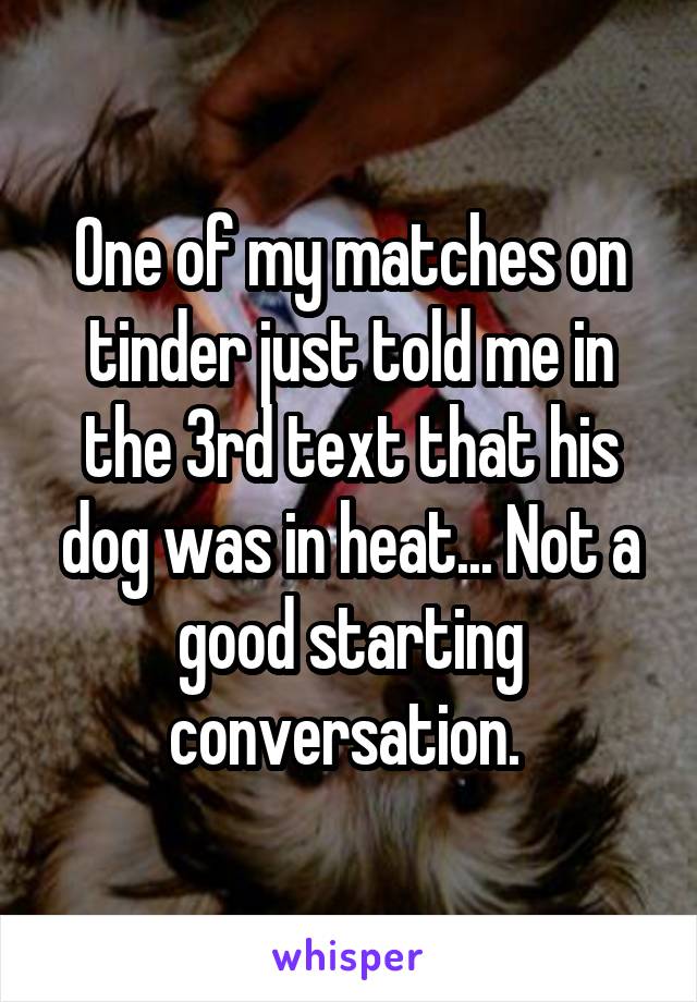 One of my matches on tinder just told me in the 3rd text that his dog was in heat... Not a good starting conversation. 
