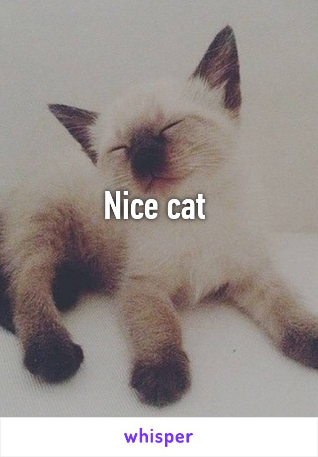 Nice cat 
