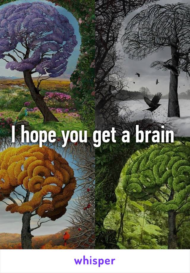 I hope you get a brain 