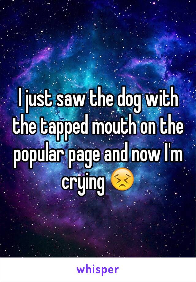 I just saw the dog with the tapped mouth on the popular page and now I'm crying 😣