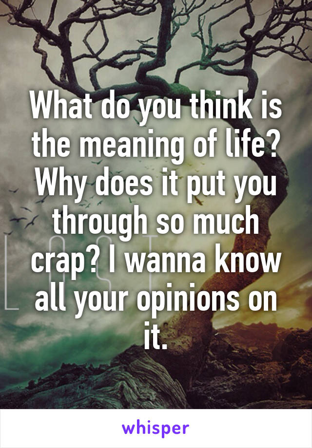What do you think is the meaning of life? Why does it put you through so much crap? I wanna know all your opinions on it.