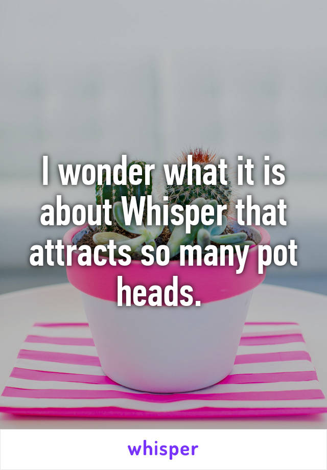 I wonder what it is about Whisper that attracts so many pot heads. 