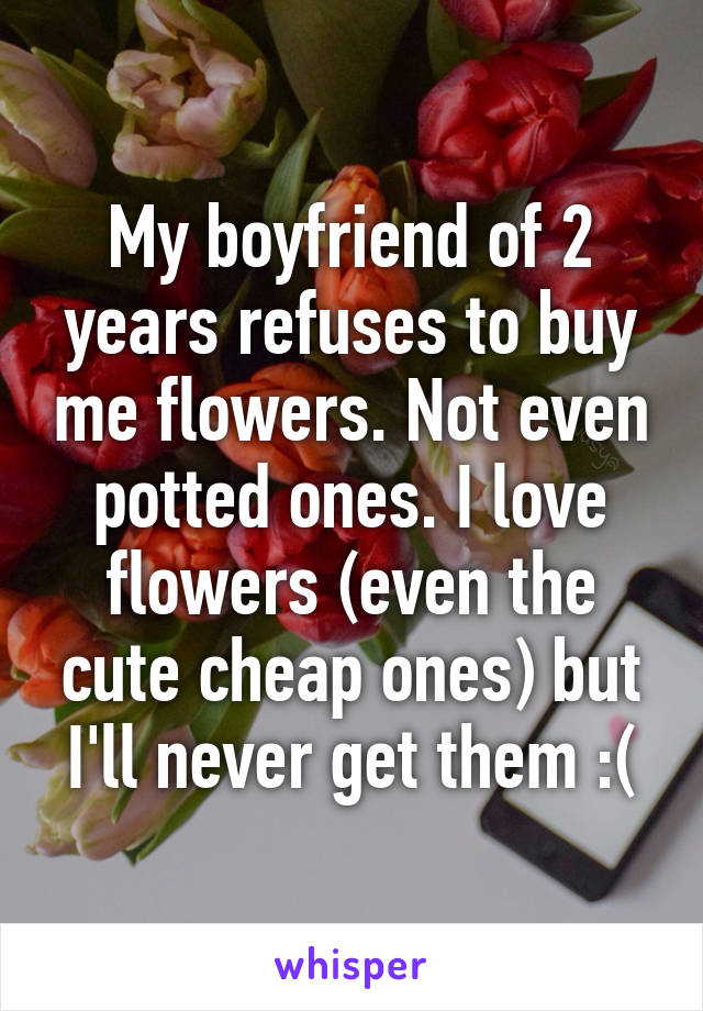 My boyfriend of 2 years refuses to buy me flowers. Not even potted ones. I love flowers (even the cute cheap ones) but I'll never get them :(