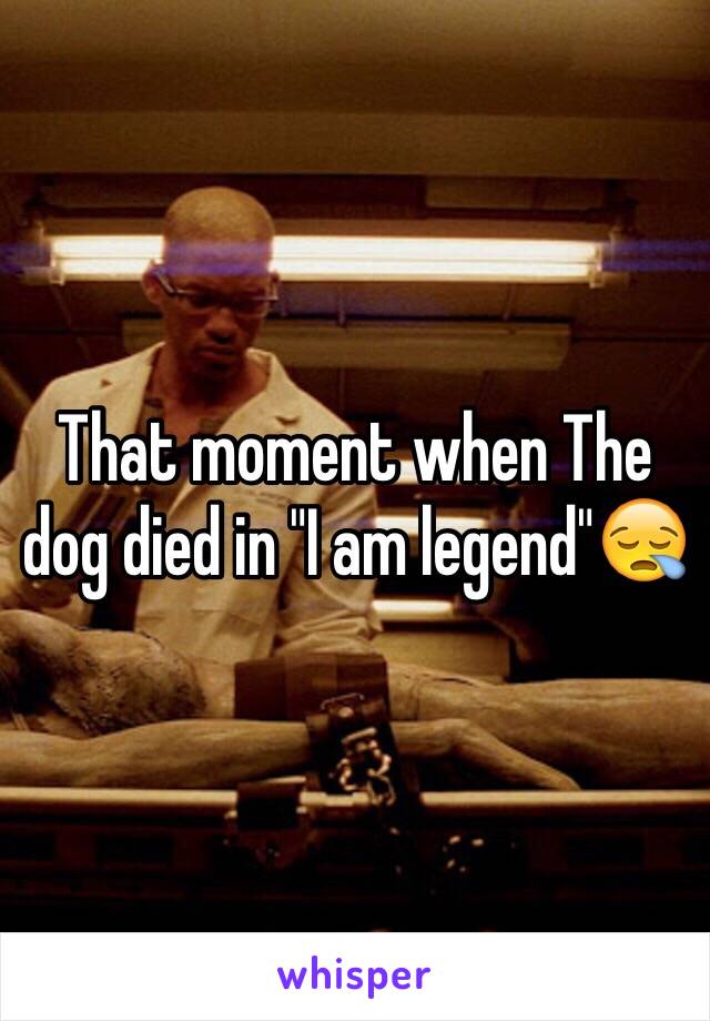 That moment when The dog died in "I am legend"😪