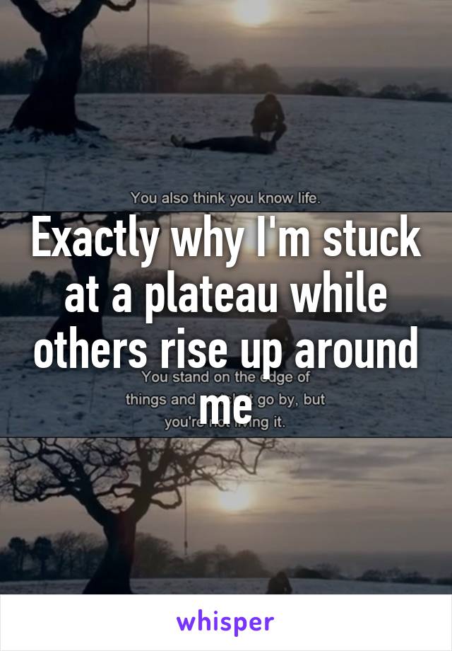 Exactly why I'm stuck at a plateau while others rise up around me