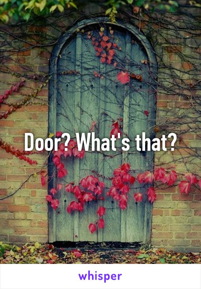 Door? What's that?