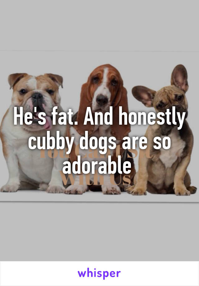 He's fat. And honestly cubby dogs are so adorable 