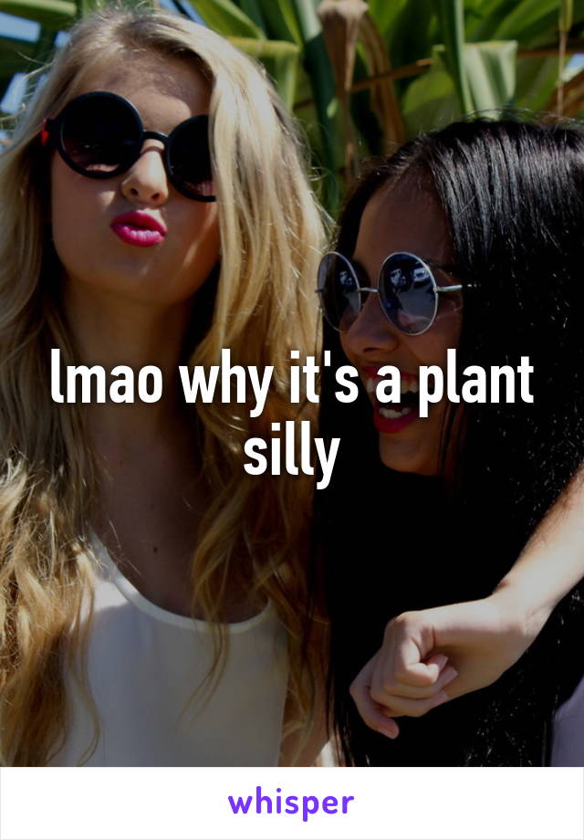 lmao why it's a plant silly