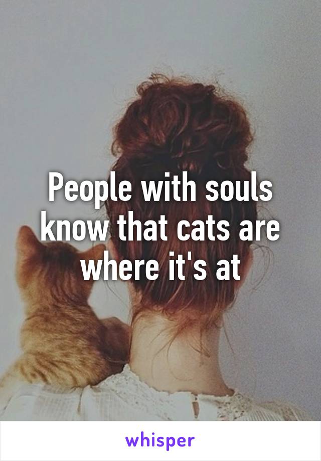 People with souls know that cats are where it's at