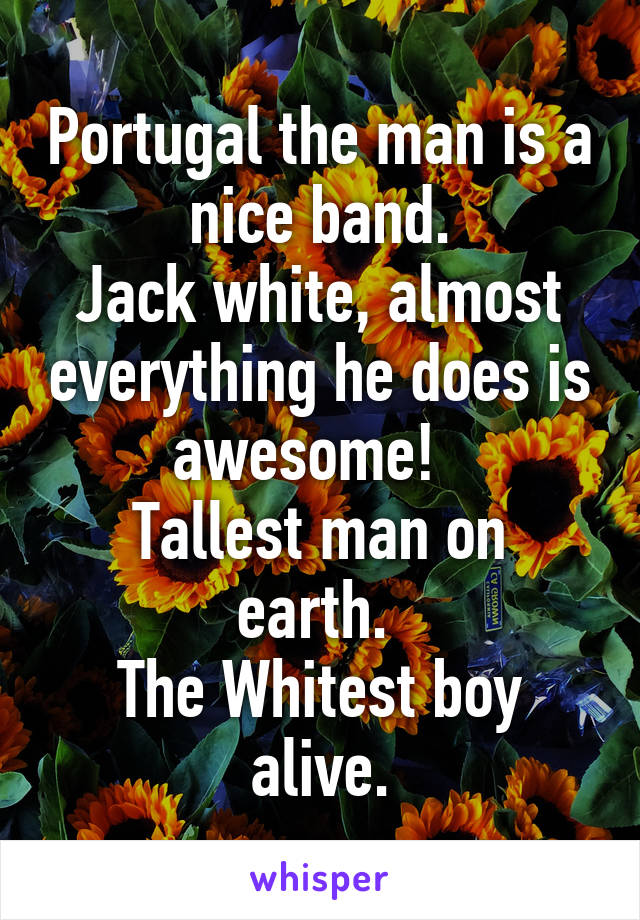 Portugal the man is a nice band.
Jack white, almost everything he does is awesome!  
Tallest man on earth. 
The Whitest boy alive.