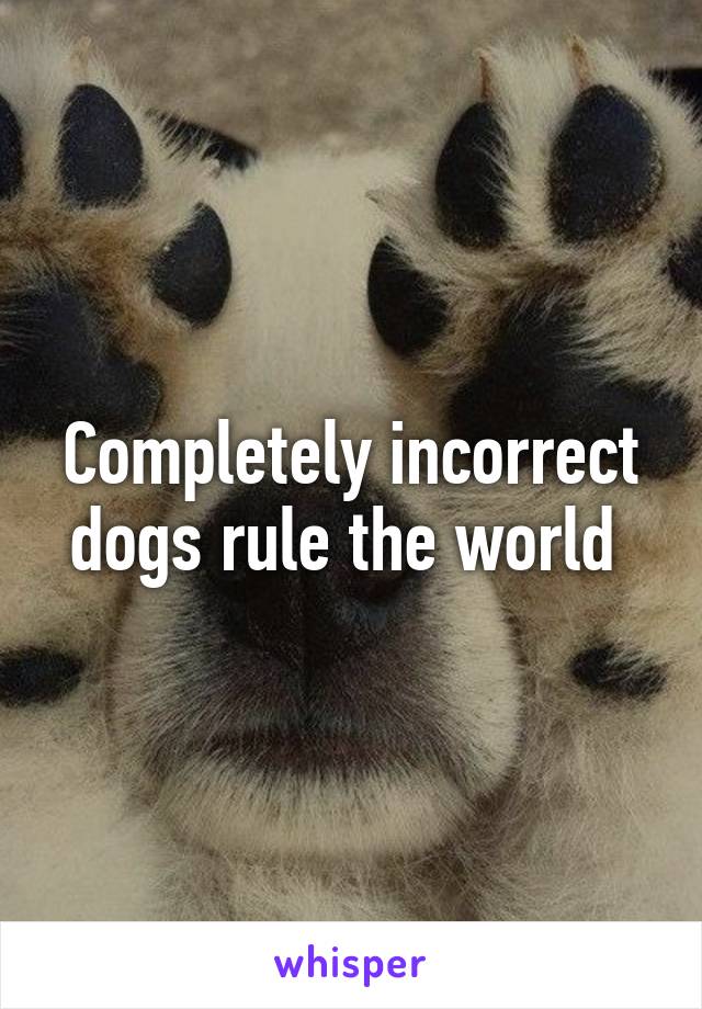 Completely incorrect dogs rule the world 