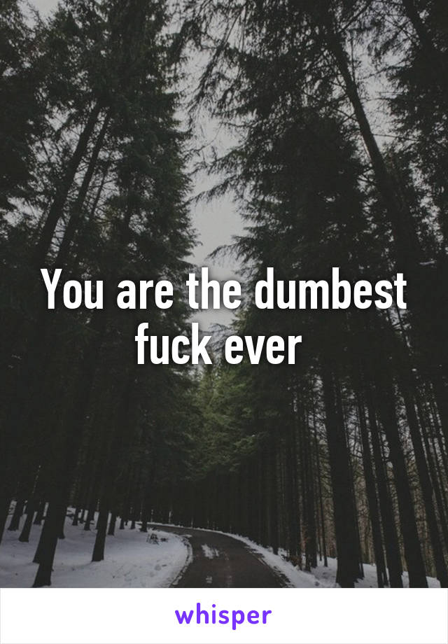 You are the dumbest fuck ever 