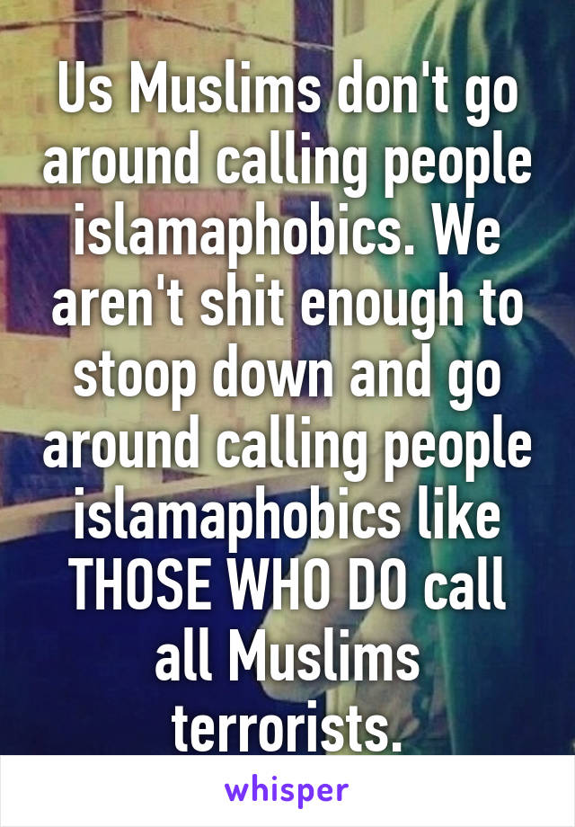 Us Muslims don't go around calling people islamaphobics. We aren't shit enough to stoop down and go around calling people islamaphobics like THOSE WHO DO call all Muslims terrorists.