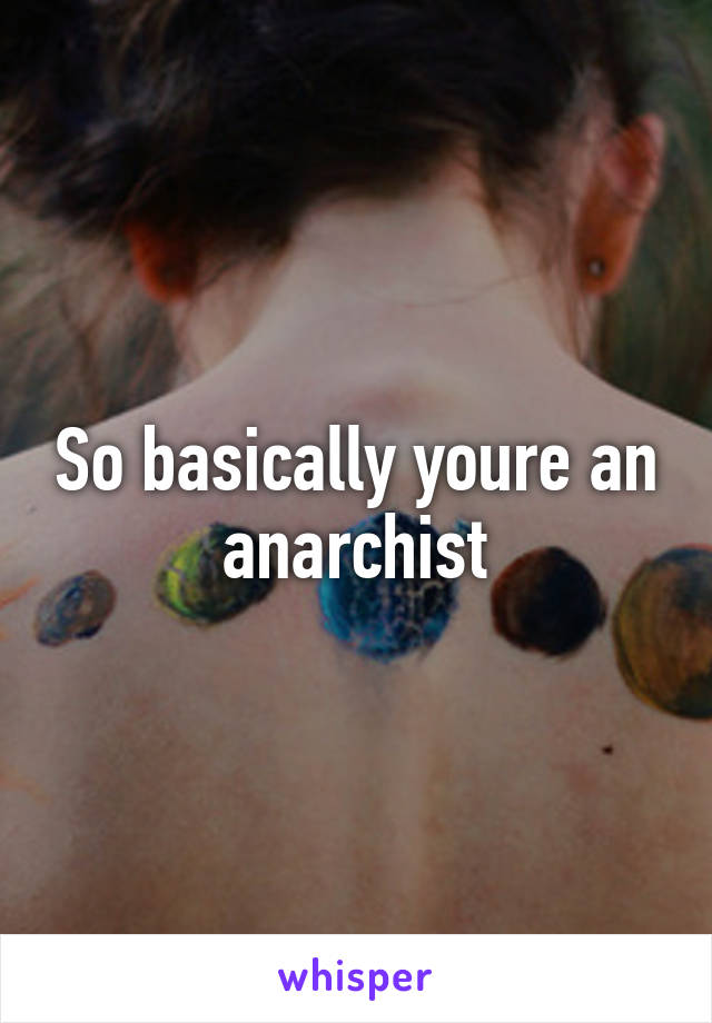 So basically youre an anarchist