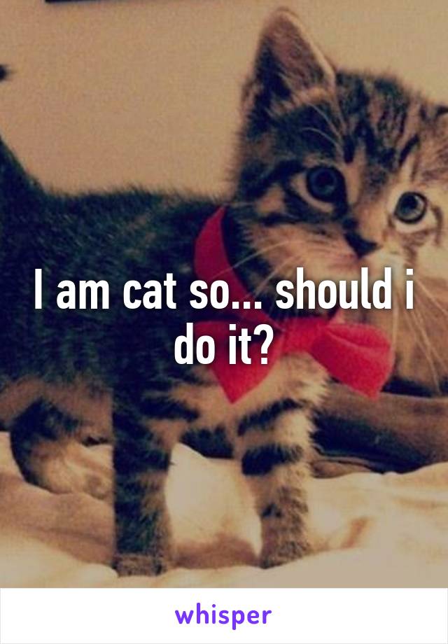 I am cat so... should i do it?