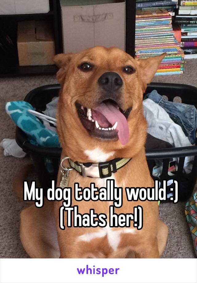 My dog totally would :)
(Thats her!)
