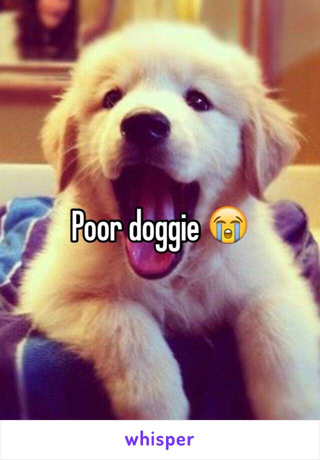 Poor doggie 😭