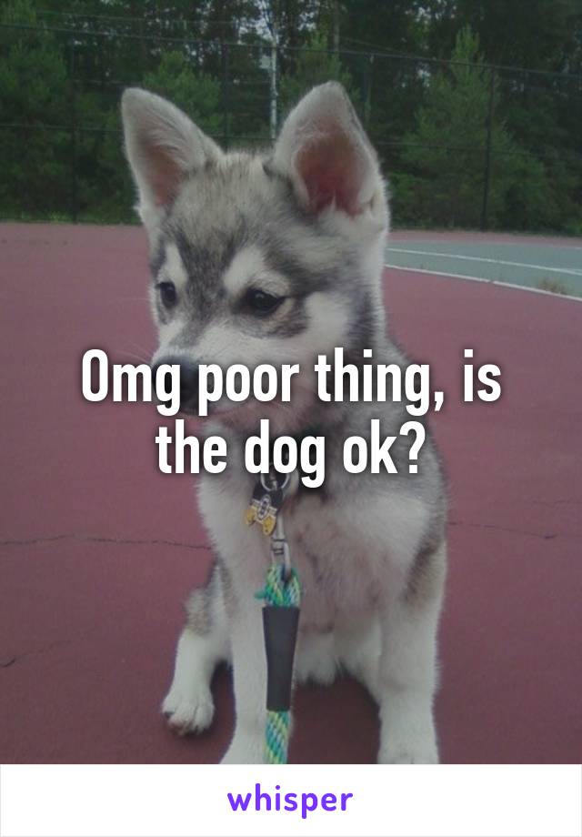 Omg poor thing, is the dog ok?