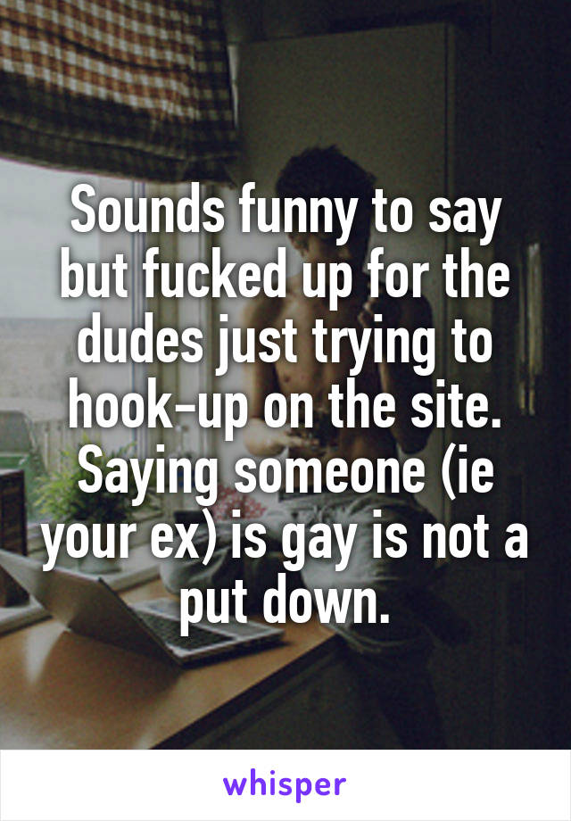 Sounds funny to say but fucked up for the dudes just trying to hook-up on the site. Saying someone (ie your ex) is gay is not a put down.