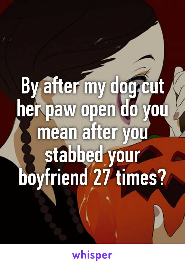 By after my dog cut her paw open do you mean after you stabbed your boyfriend 27 times?