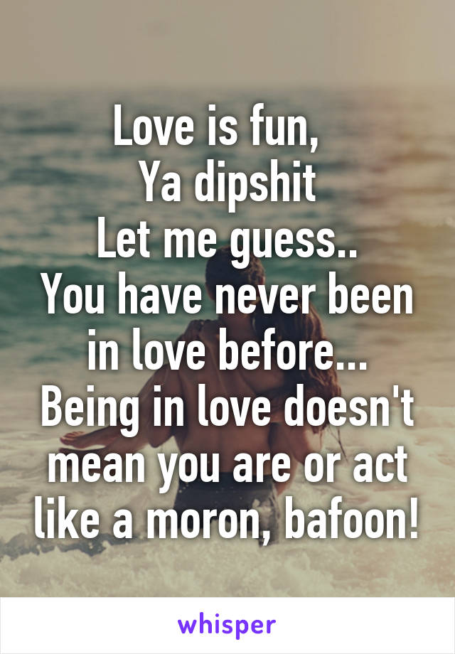 Love is fun,  
Ya dipshit
Let me guess..
You have never been in love before...
Being in love doesn't mean you are or act like a moron, bafoon!