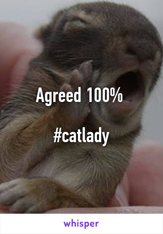 Agreed 100% 

#catlady