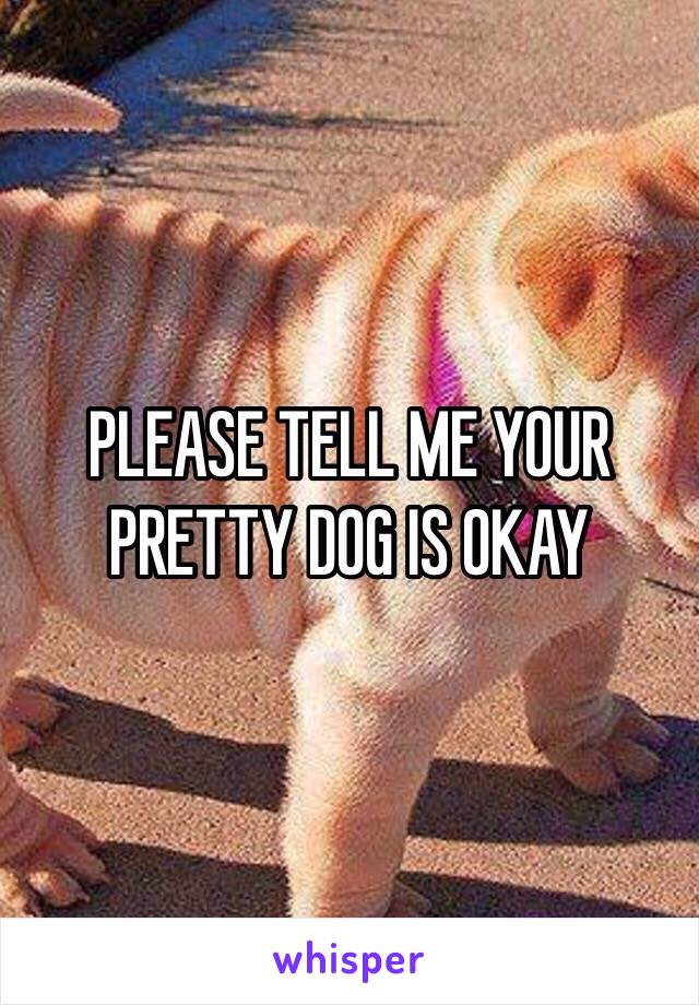 PLEASE TELL ME YOUR PRETTY DOG IS OKAY