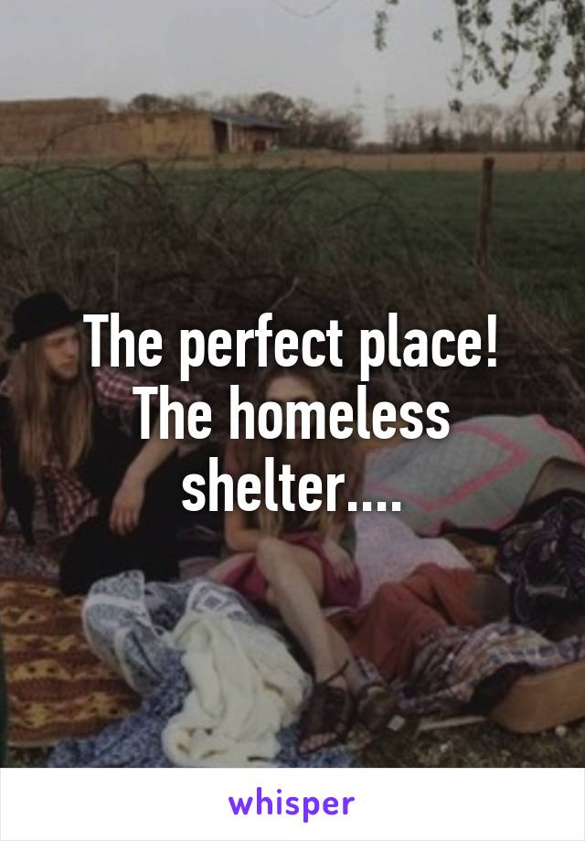 The perfect place! The homeless shelter....
