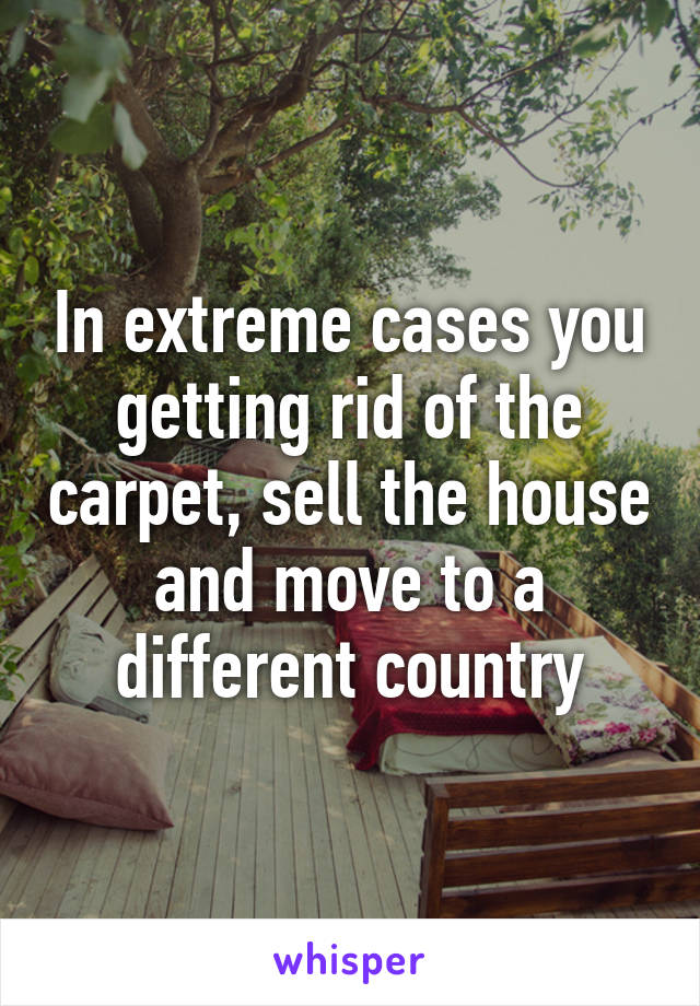 In extreme cases you getting rid of the carpet, sell the house and move to a different country