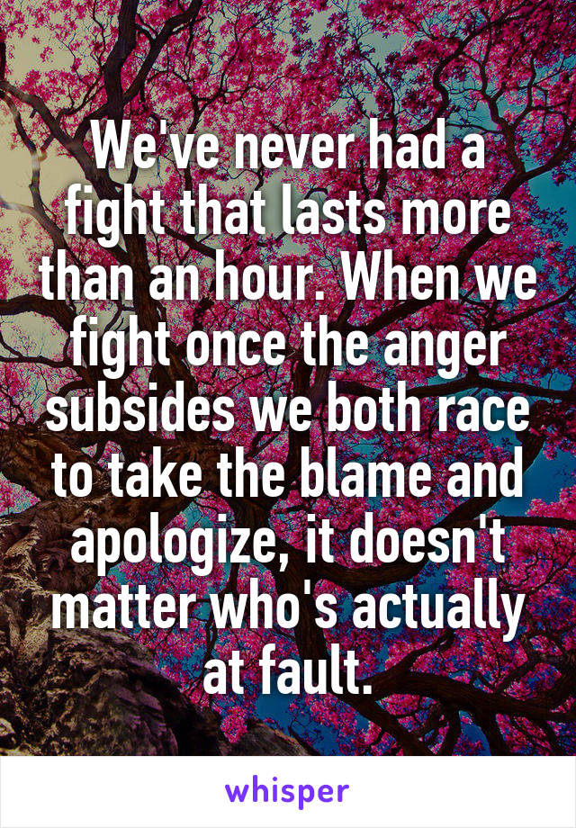 We've never had a fight that lasts more than an hour. When we fight once the anger subsides we both race to take the blame and apologize, it doesn't matter who's actually at fault.