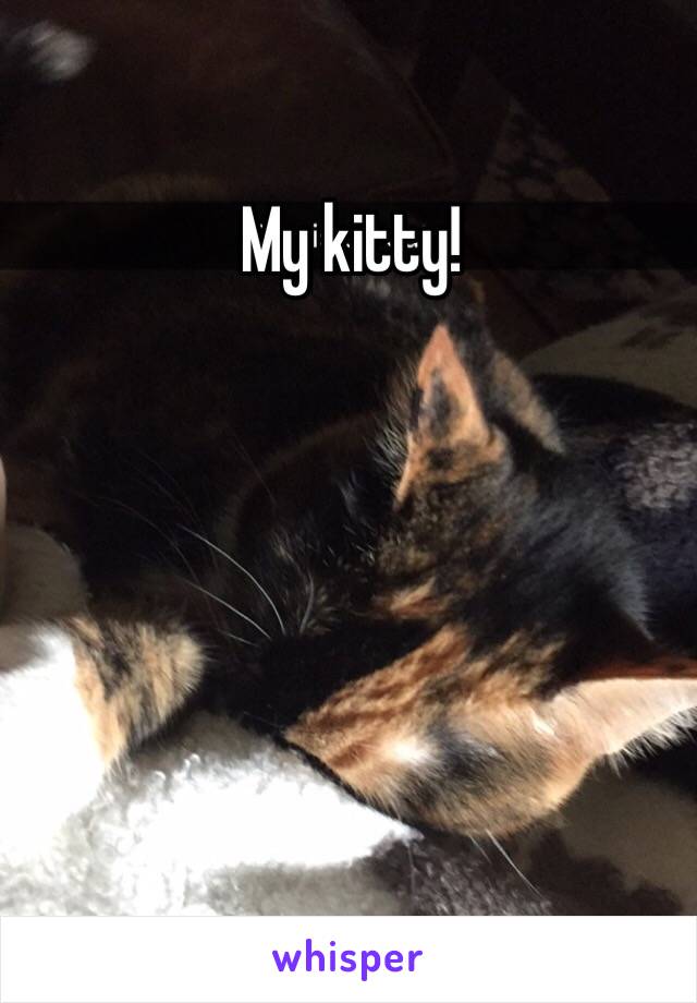 My kitty! 