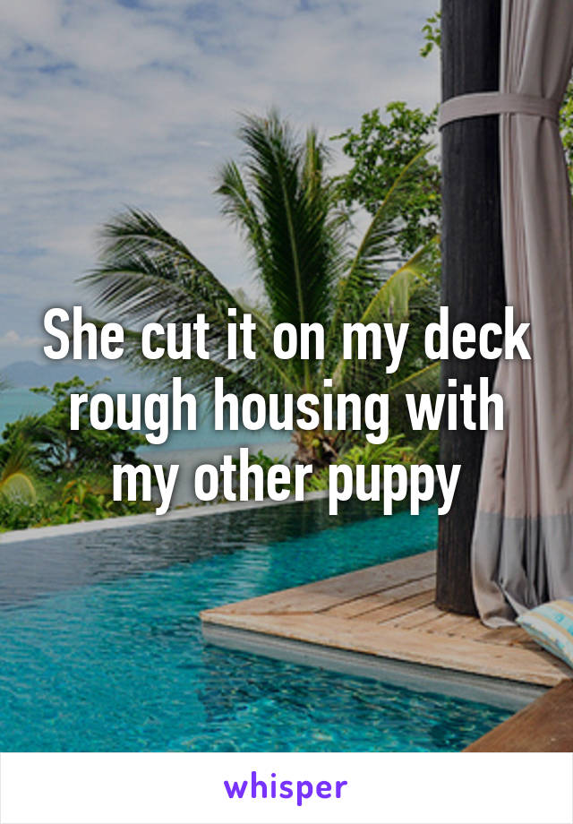 She cut it on my deck rough housing with my other puppy