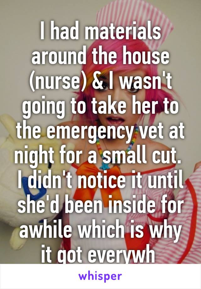 I had materials around the house (nurse) & I wasn't going to take her to the emergency vet at night for a small cut.  I didn't notice it until she'd been inside for awhile which is why it got everywh 