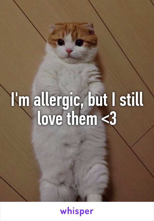 I'm allergic, but I still love them <3