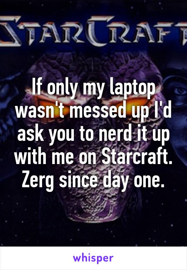If only my laptop wasn't messed up I'd ask you to nerd it up with me on Starcraft. Zerg since day one.