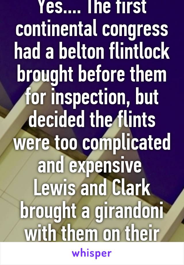 Yes.... The first continental congress had a belton flintlock brought before them for inspection, but decided the flints were too complicated and expensive 
Lewis and Clark brought a girandoni with them on their trip