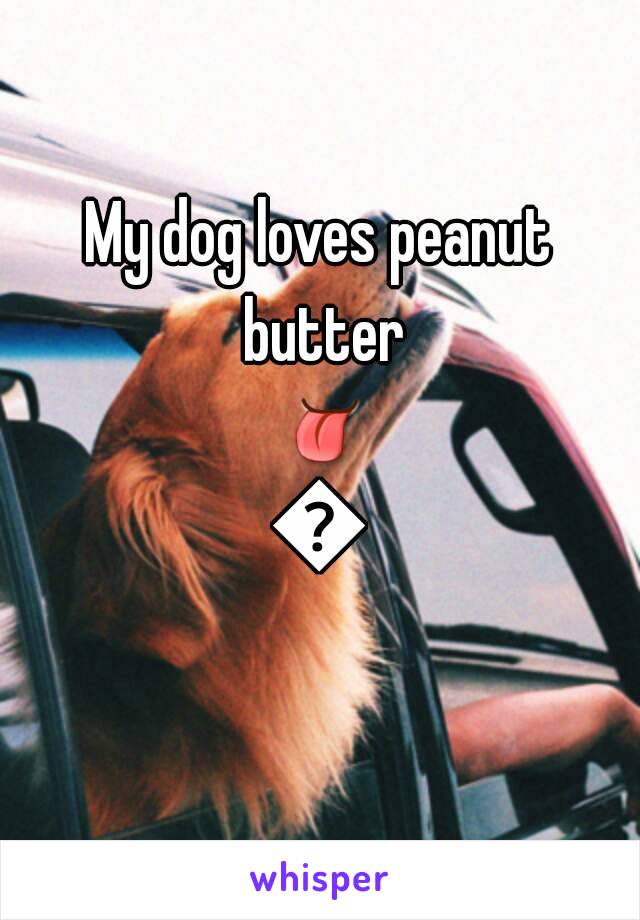 My dog loves peanut butter 👅👅