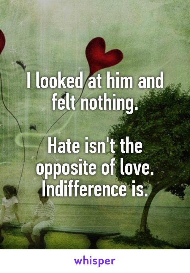 I looked at him and felt nothing.

Hate isn't the opposite of love. Indifference is.