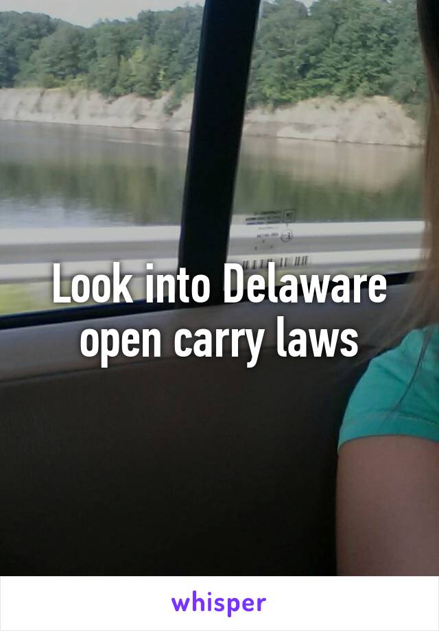 Look into Delaware open carry laws