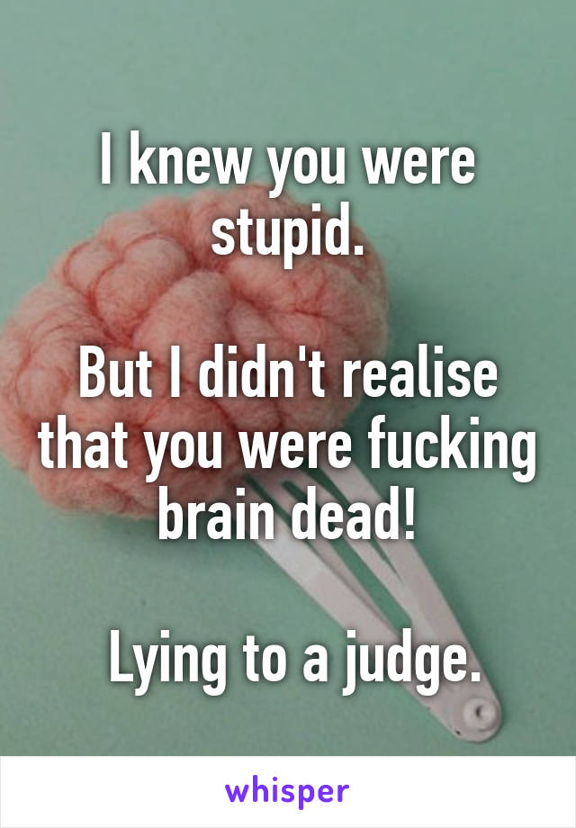 I knew you were stupid.

But I didn't realise that you were fucking brain dead!

 Lying to a judge.