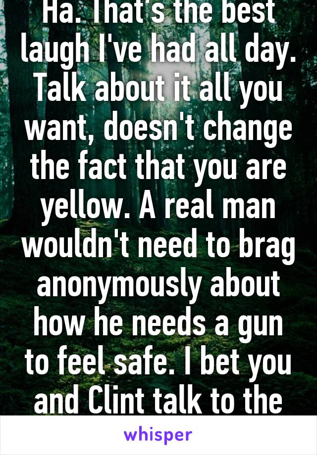 Ha. That's the best laugh I've had all day. Talk about it all you want, doesn't change the fact that you are yellow. A real man wouldn't need to brag anonymously about how he needs a gun to feel safe. I bet you and Clint talk to the same chair.  